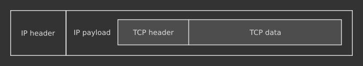 A TCP segment